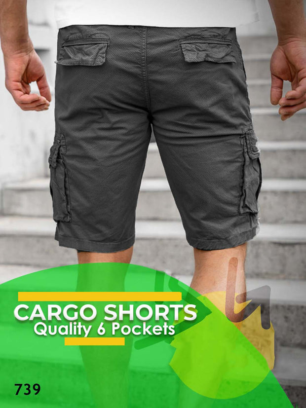 Grey Cargo Shorts -0739